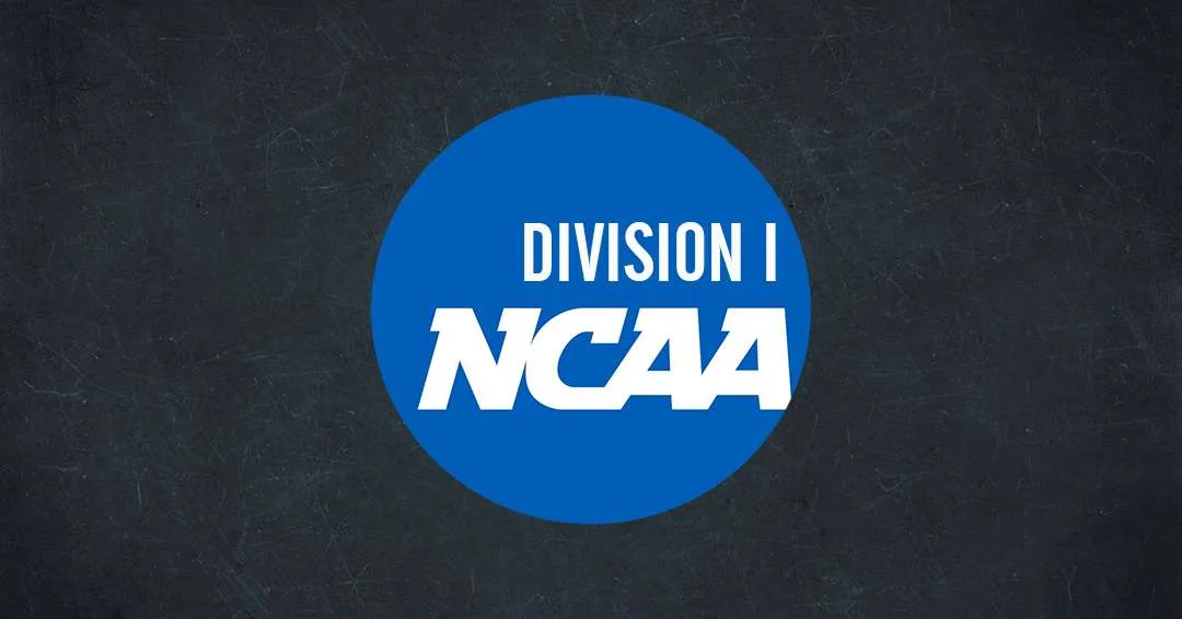 Getting to Know the Different Levels of College Basketball: NCAA Division I