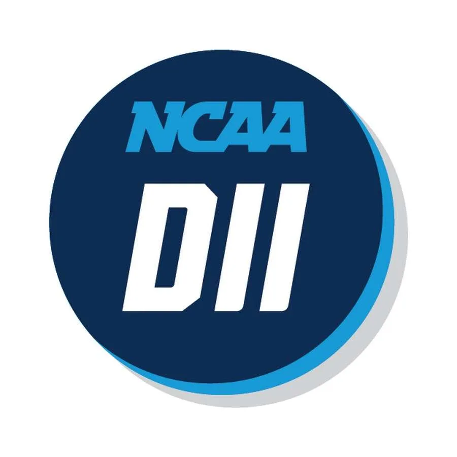 Getting to Know the Different Levels of College Basketball: NCAA Division 2