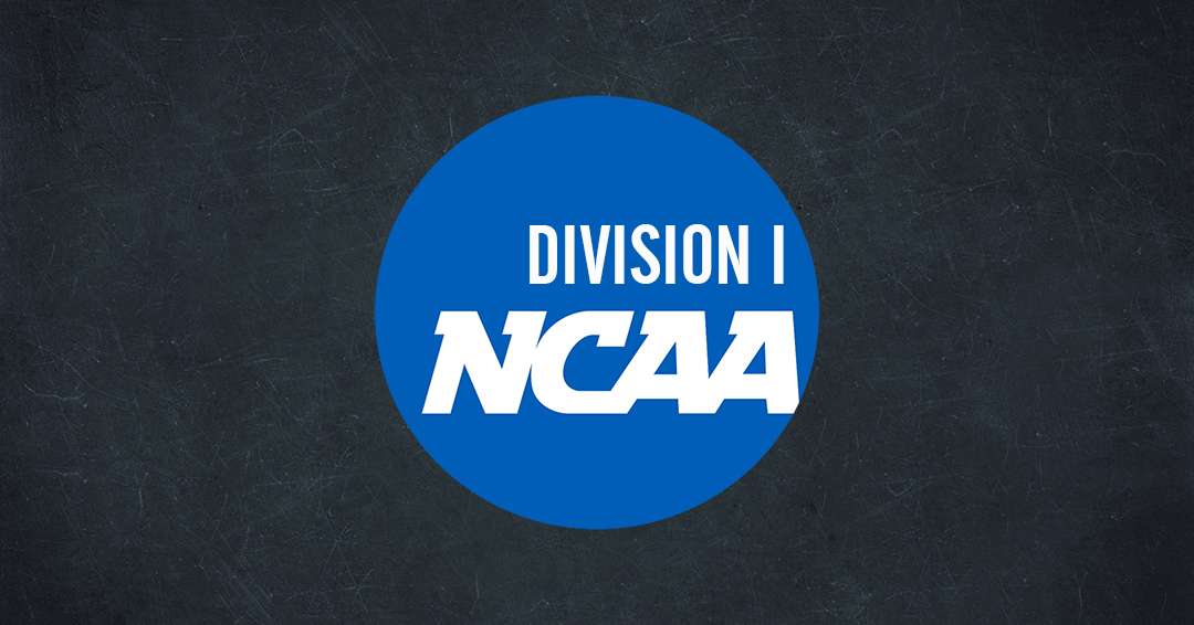 Getting to Know the Different Levels of College Basketball: NCAA Division I