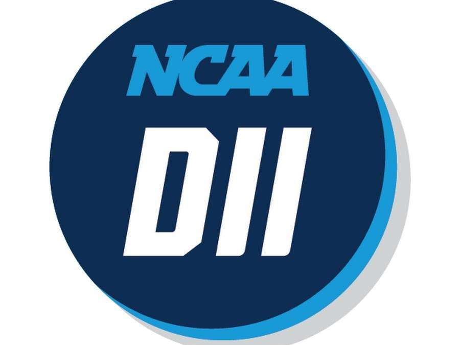Getting to Know the Different Levels of College Basketball: NCAA Division 2